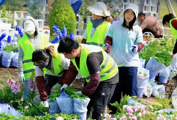 壹配资网门户 上海商学院《杉影·时·光》获大学生花园节铂金奖