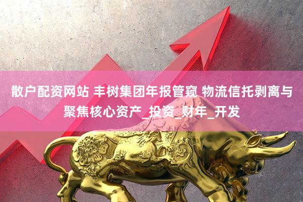 散户配资网站 丰树集团年报管窥 物流信托剥离与聚焦核心资产_投资_财年_开发